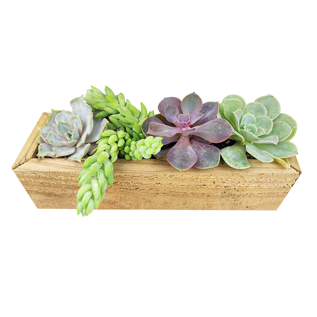 Succulent Arrangement Centerpiece Rectangle Wooden Planter, Rectangular Succulent Planter for sale online, Succulent gift decor ideas