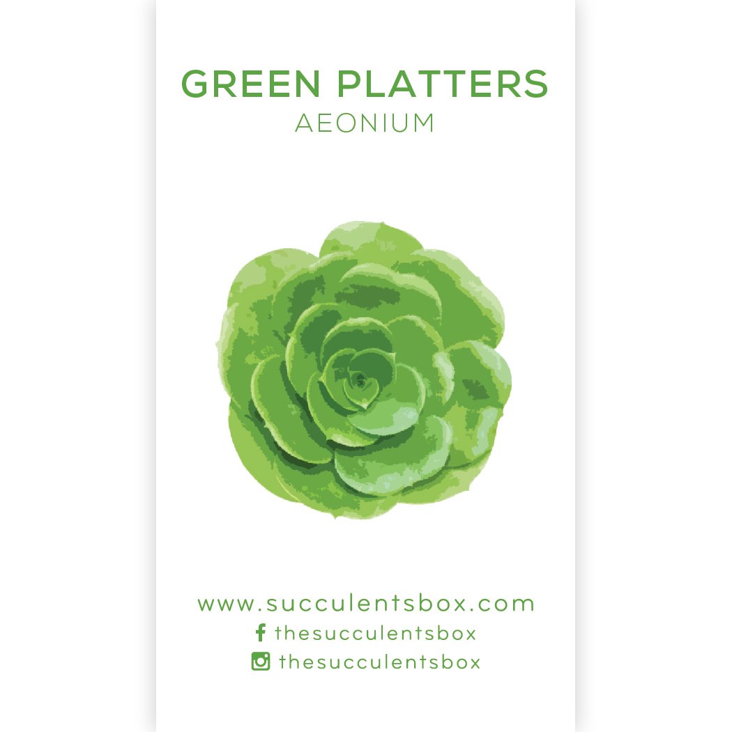 Succulent ID Cards for sale, Airplant ID Cards for sale, Succulent Care Cards, ID Cards for Specific Succulents, Identifying Types of Succulents, Types of Succulent Plants, How to identify Types of succulents, Succulents Gift Ideas, How to care for Types of Succulents